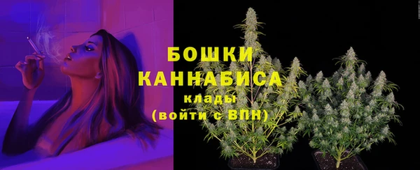 твердый Рославль