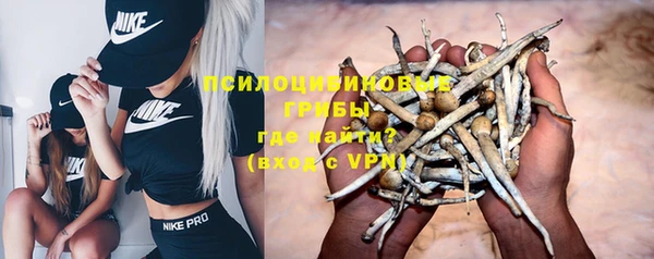 spice Грязовец